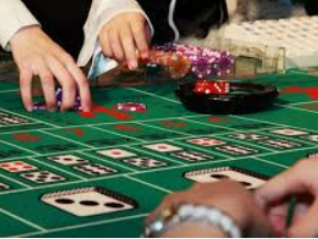 196体育经典版2024最新版